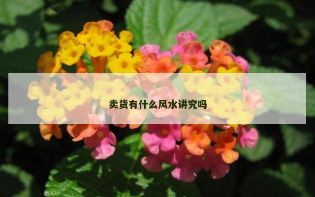 卖货有什么风水讲究吗