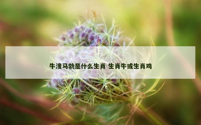 牛溲马勃是什么生肖 生肖牛或生肖鸡