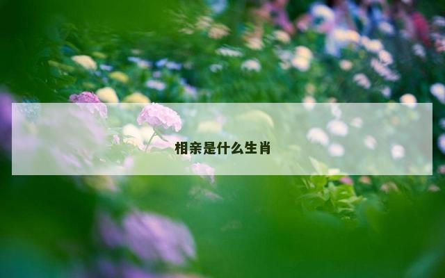 相亲是什么生肖