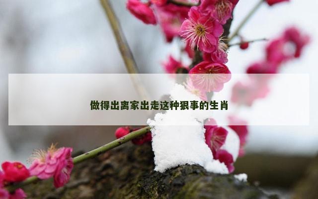 做得出离家出走这种狠事的生肖