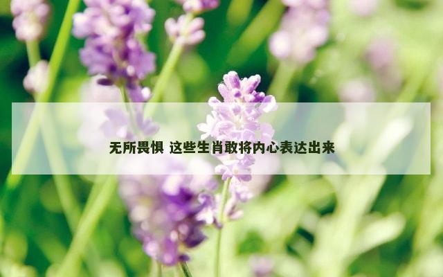 无所畏惧 这些生肖敢将内心表达出来
