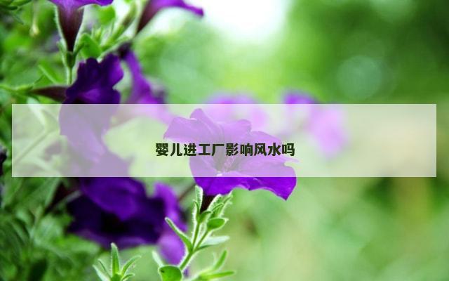 婴儿进工厂影响风水吗