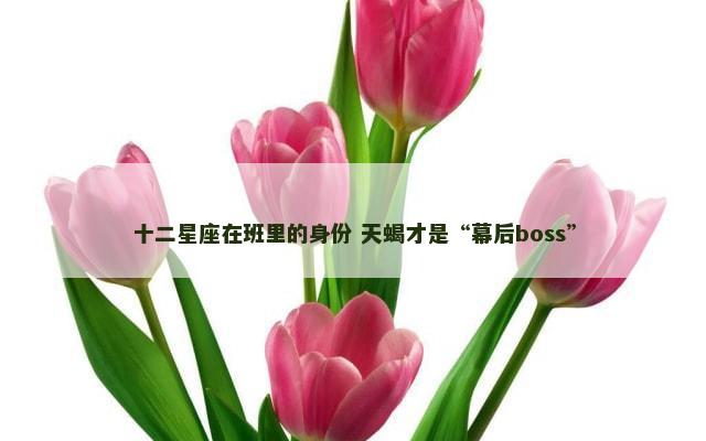 十二星座在班里的身份 天蝎才是“幕后boss”