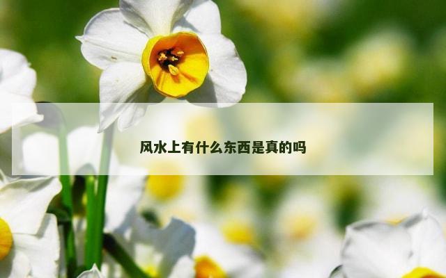 风水上有什么东西是真的吗