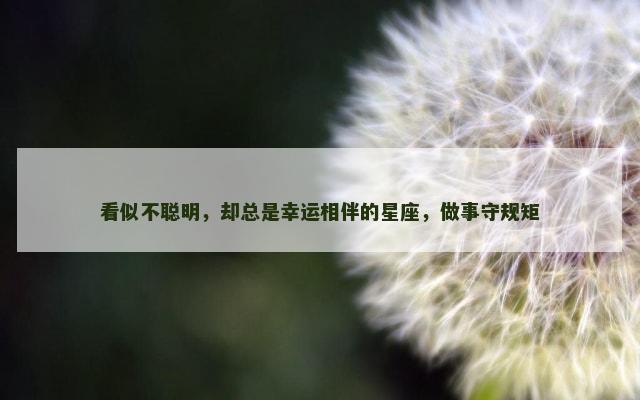 看似不聪明，却总是幸运相伴的星座，做事守规矩