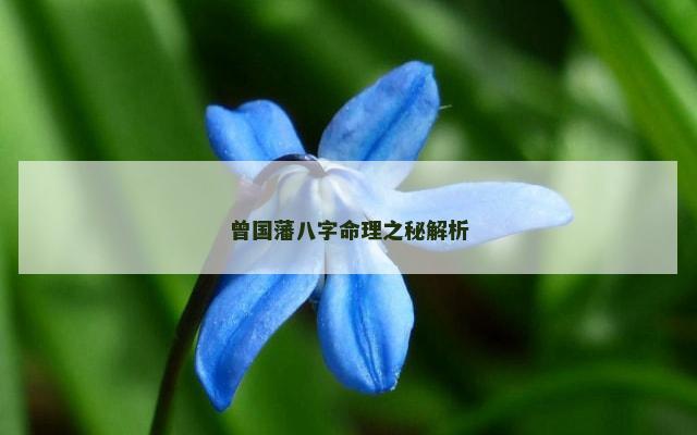 曾国藩八字命理之秘解析