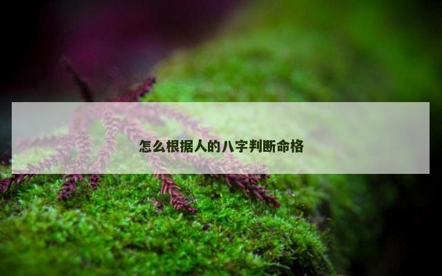 怎么根据人的八字判断命格