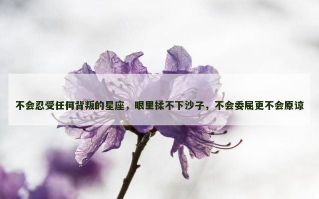 不会忍受任何背叛的星座，眼里揉不下沙子，不会委屈更不会原谅