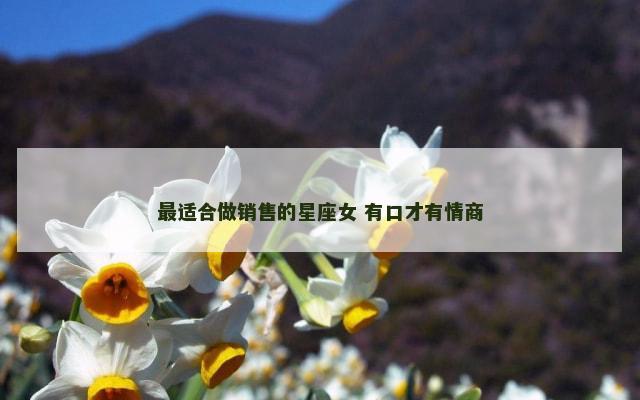 最适合做销售的星座女 有口才有情商