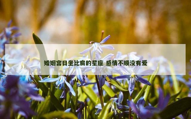 婚姻宫日坐比肩的星座 感情不顺没有爱