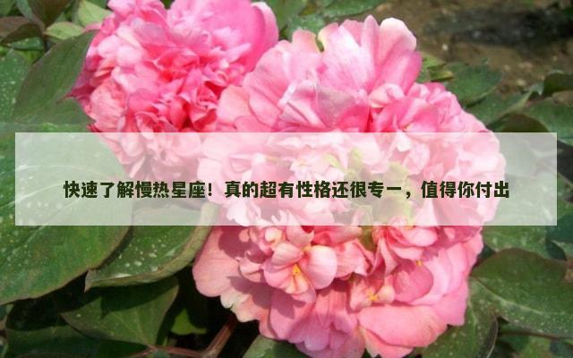 快速了解慢热星座！真的超有性格还很专一，值得你付出