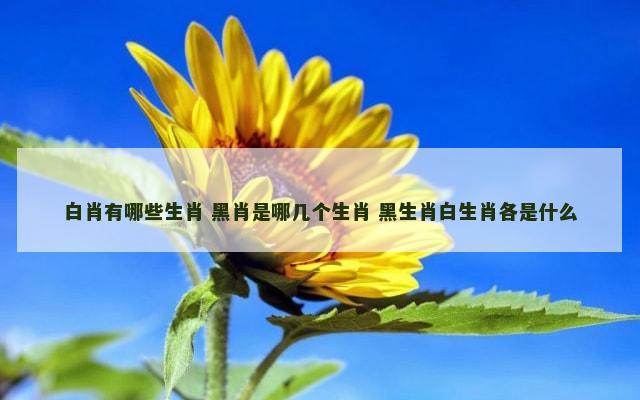 白肖有哪些生肖 黑肖是哪几个生肖 黑生肖白生肖各是什么