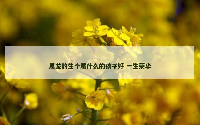 属龙的生个属什么的孩子好 一生荣华