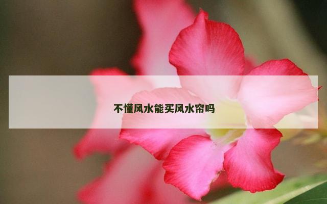 不懂风水能买风水帘吗