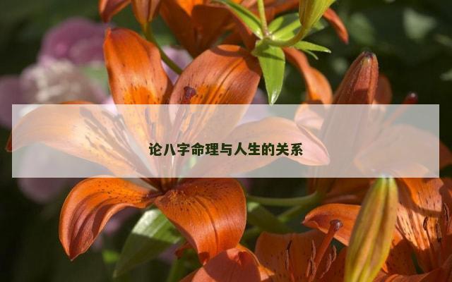 论八字命理与人生的关系