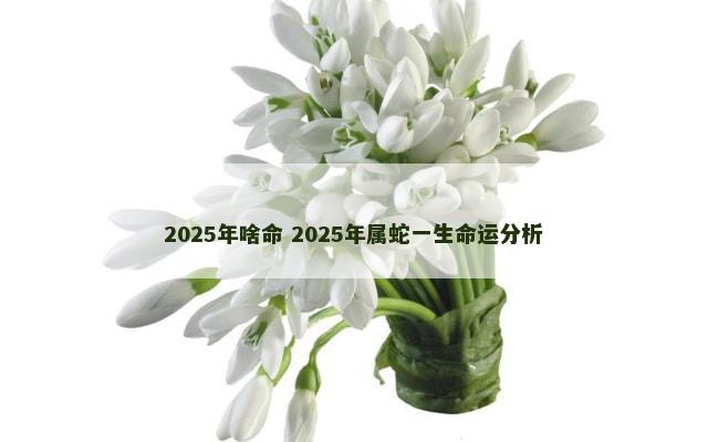 2025年啥命 2025年属蛇一生命运分析