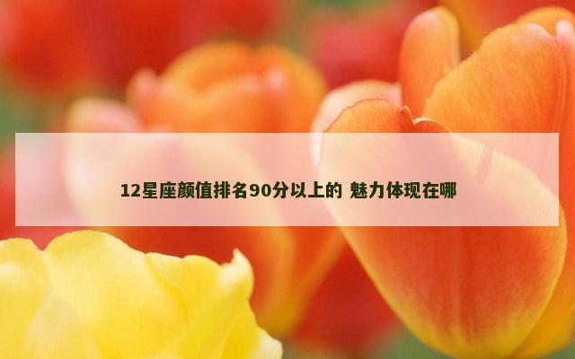 12星座颜值排名90分以上的 魅力体现在哪