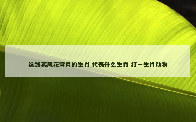 欲钱买风花雪月的生肖 代表什么生肖 打一生肖动物