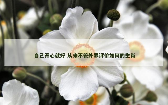 自己开心就好 从来不管外界评价如何的生肖