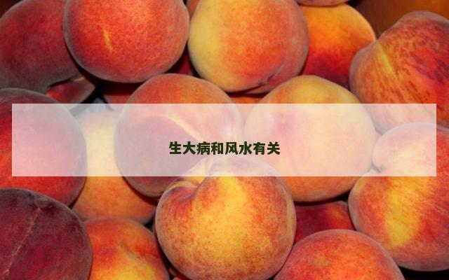 生大病和风水有关