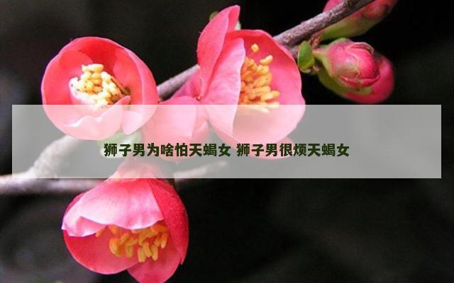 狮子男为啥怕天蝎女 狮子男很烦天蝎女