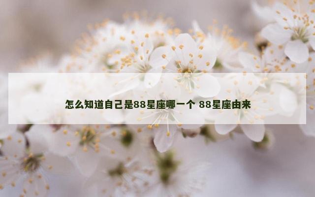 怎么知道自己是88星座哪一个 88星座由来