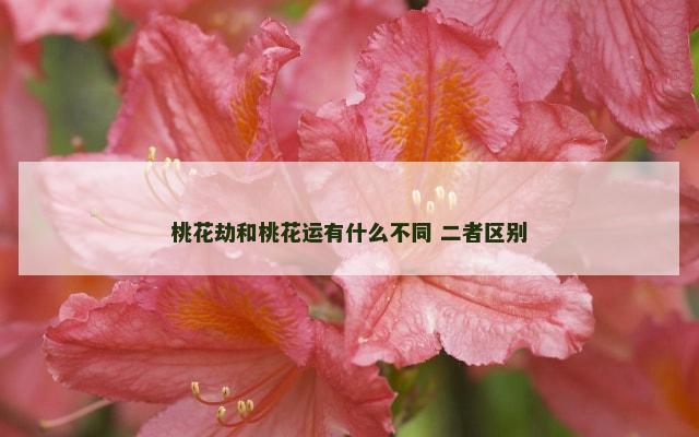 桃花劫和桃花运有什么不同 二者区别