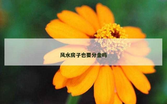 风水房子也要分金吗
