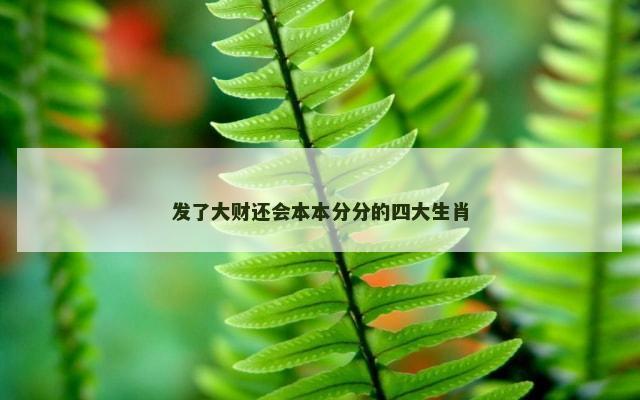 发了大财还会本本分分的四大生肖