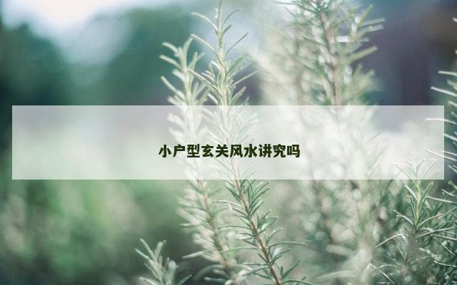 小户型玄关风水讲究吗
