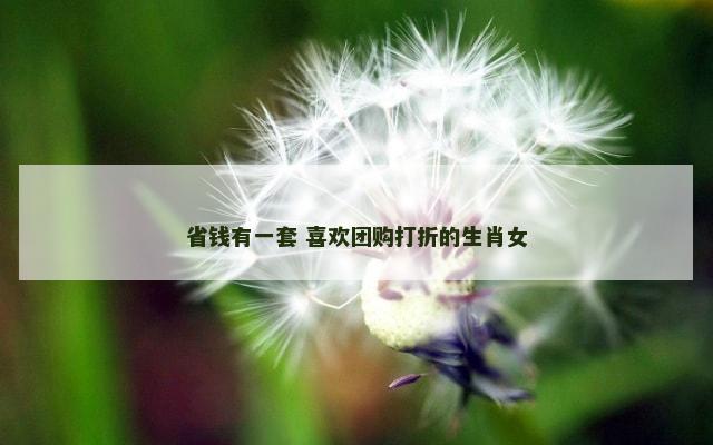 省钱有一套 喜欢团购打折的生肖女