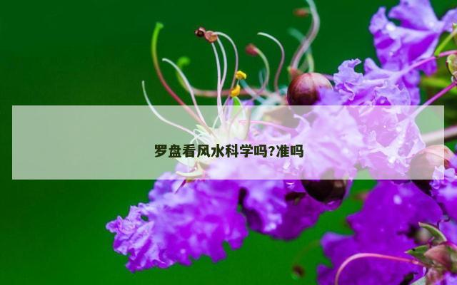 罗盘看风水科学吗?准吗