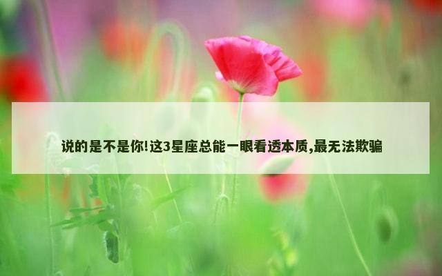 说的是不是你!这3星座总能一眼看透本质,最无法欺骗
