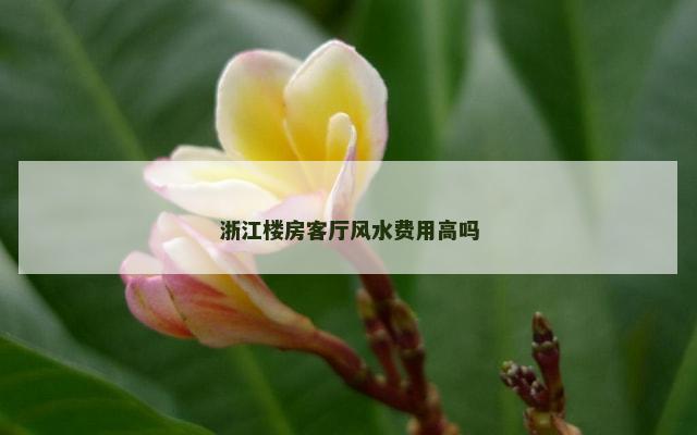 浙江楼房客厅风水费用高吗