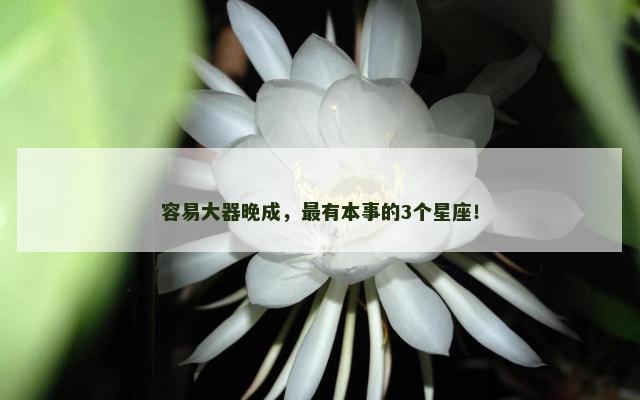 容易大器晚成，最有本事的3个星座！