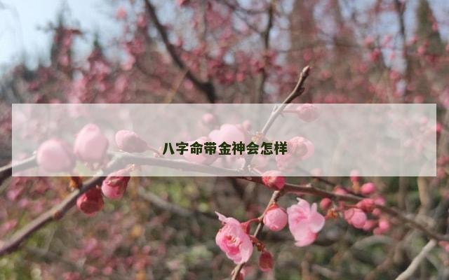 八字命带金神会怎样