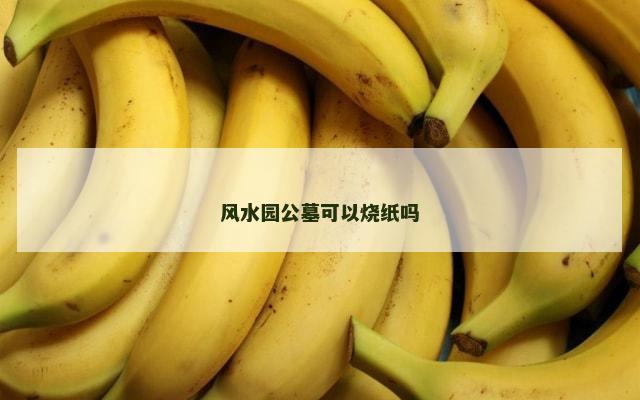 风水园公墓可以烧纸吗