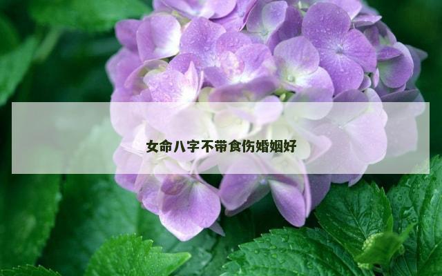 女命八字不带食伤婚姻好