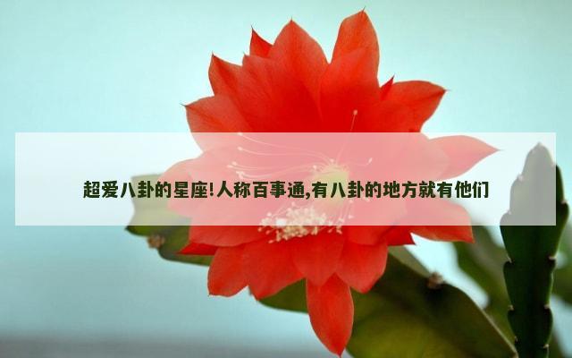 超爱八卦的星座!人称百事通,有八卦的地方就有他们