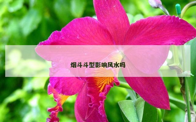 烟斗斗型影响风水吗