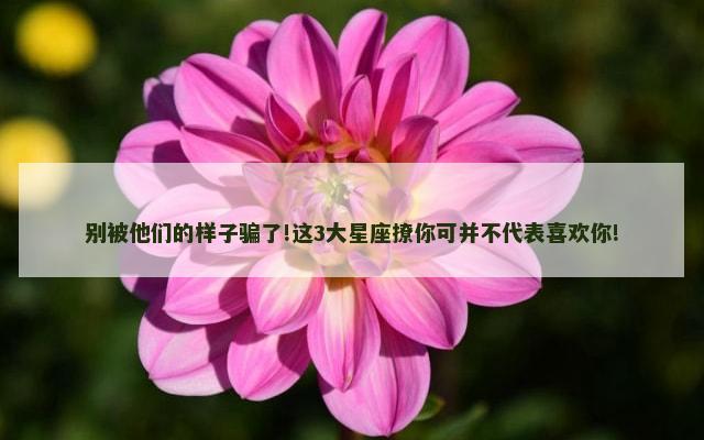 别被他们的样子骗了!这3大星座撩你可并不代表喜欢你!