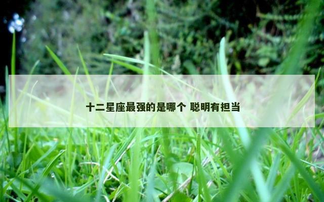 十二星座最强的是哪个 聪明有担当