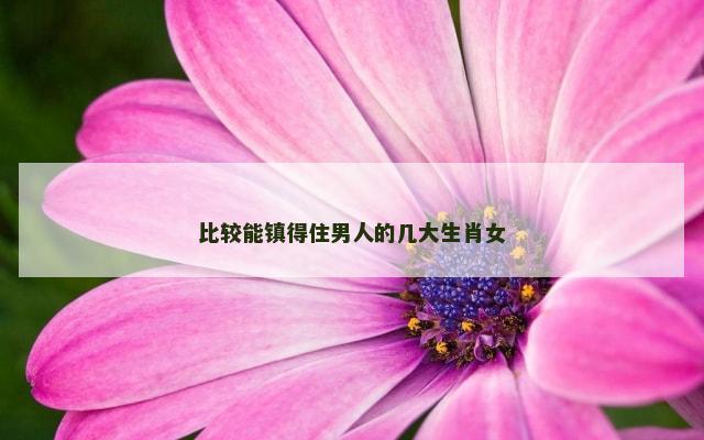 比较能镇得住男人的几大生肖女