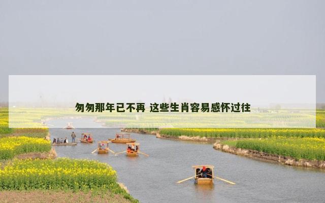 匆匆那年已不再 这些生肖容易感怀过往
