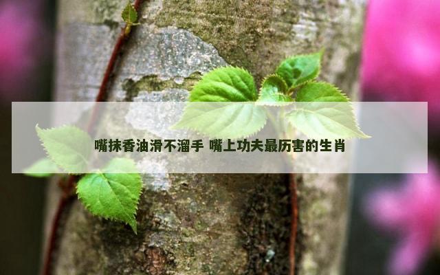 嘴抹香油滑不溜手 嘴上功夫最历害的生肖