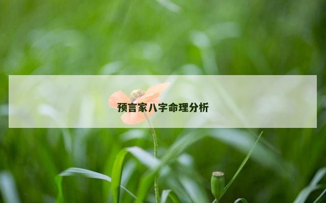 预言家八字命理分析