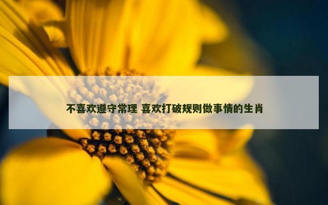 不喜欢遵守常理 喜欢打破规则做事情的生肖