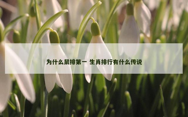 为什么鼠排第一 生肖排行有什么传说