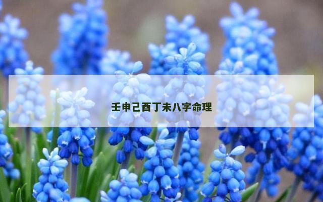 壬申己酉丁未八字命理