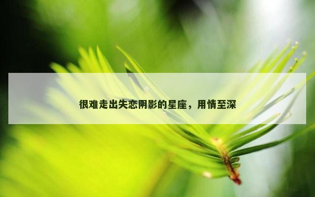 很难走出失恋阴影的星座，用情至深